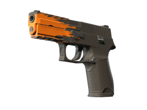 StatTrak™ P250 | Splash (Minimal Wear)