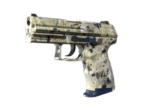 P2000 | Granite Marbleized (Factory New)