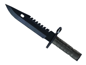 ★ M9 Bayonet | Blue Steel (Well-Worn)