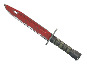 ★ Bayonet | Crimson Web (Well-Worn)