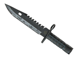 ★ M9 Bayonet | Night (Battle-Scarred)