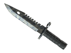 ★ M9 Bayonet | Stained (Field-Tested)