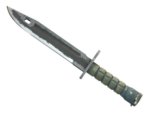 ★ Bayonet | Night (Battle-Scarred)